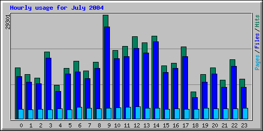 Hourly usage for July 2004