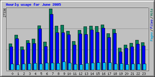 Hourly usage for June 2005