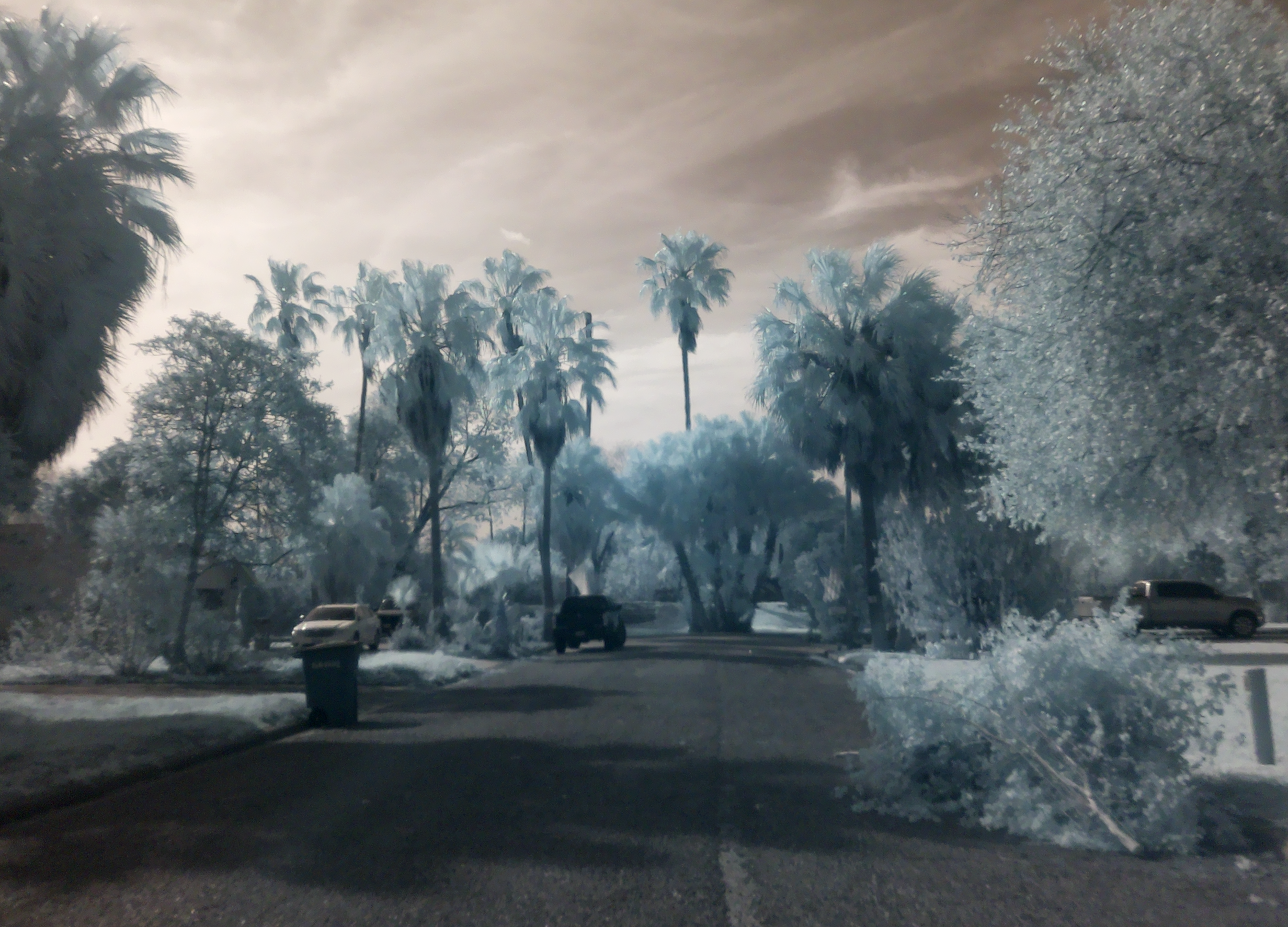 Infrared photograph of our street