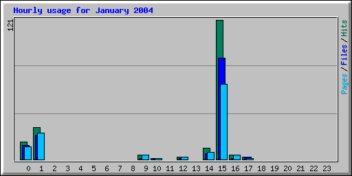 Hourly usage for January 2004