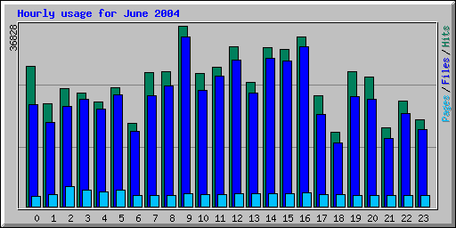 Hourly usage for June 2004