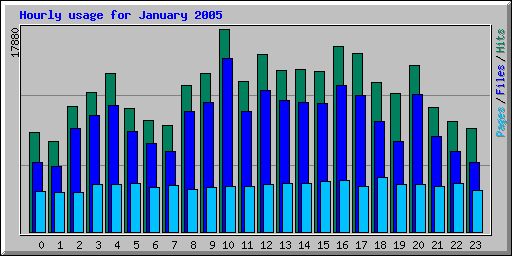 Hourly usage for January 2005
